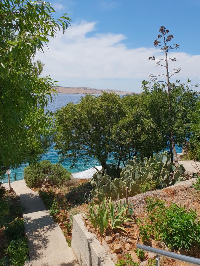 Villa Franko Призна Екстериор снимка